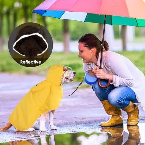 Dog Rain Coat Poncho with Reflective Storage Pocket & Rim (Yellow, M) Rain Covers for Dogs Pet Clever