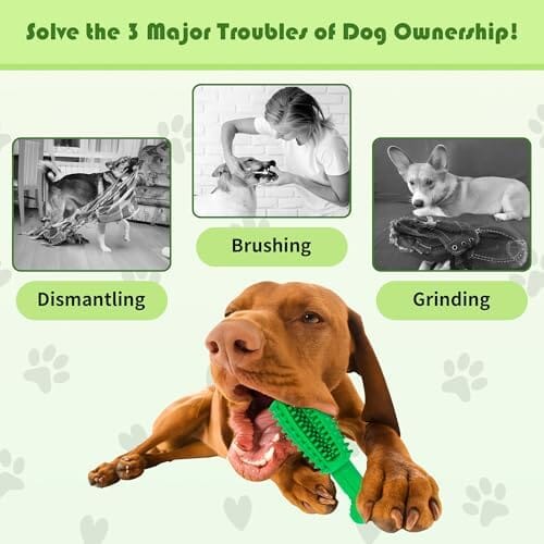 Dog Teeth Cleaning Toys No Brush Dog Teeth Cleaning Toothbrush Pet Clever