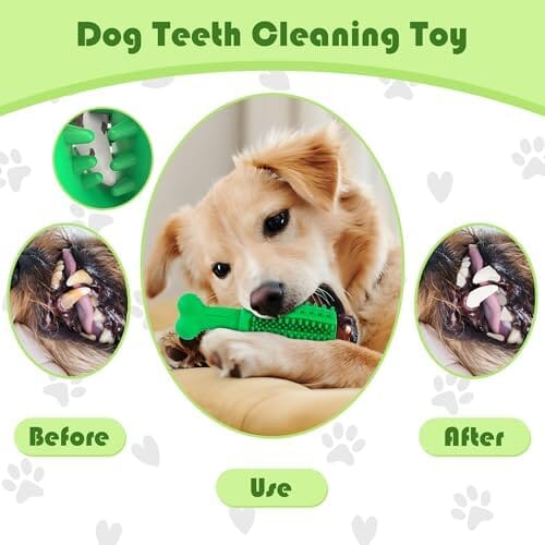 Dog Teeth Cleaning Toys No Brush Dog Teeth Cleaning Toothbrush Pet Clever