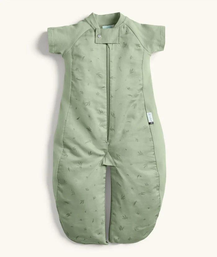 Willow (3-12 m)