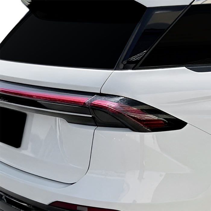 Rear Tint Kit (CLEAR)