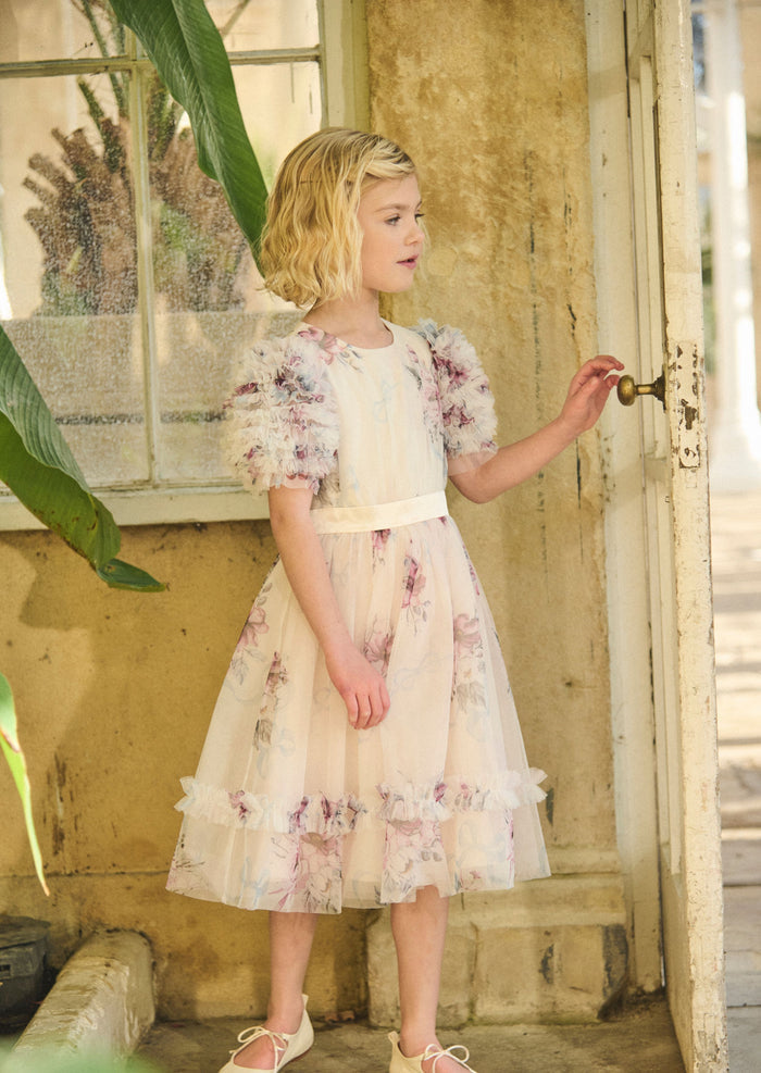 Florence Blush Ruffle Sleeve Mesh Dress