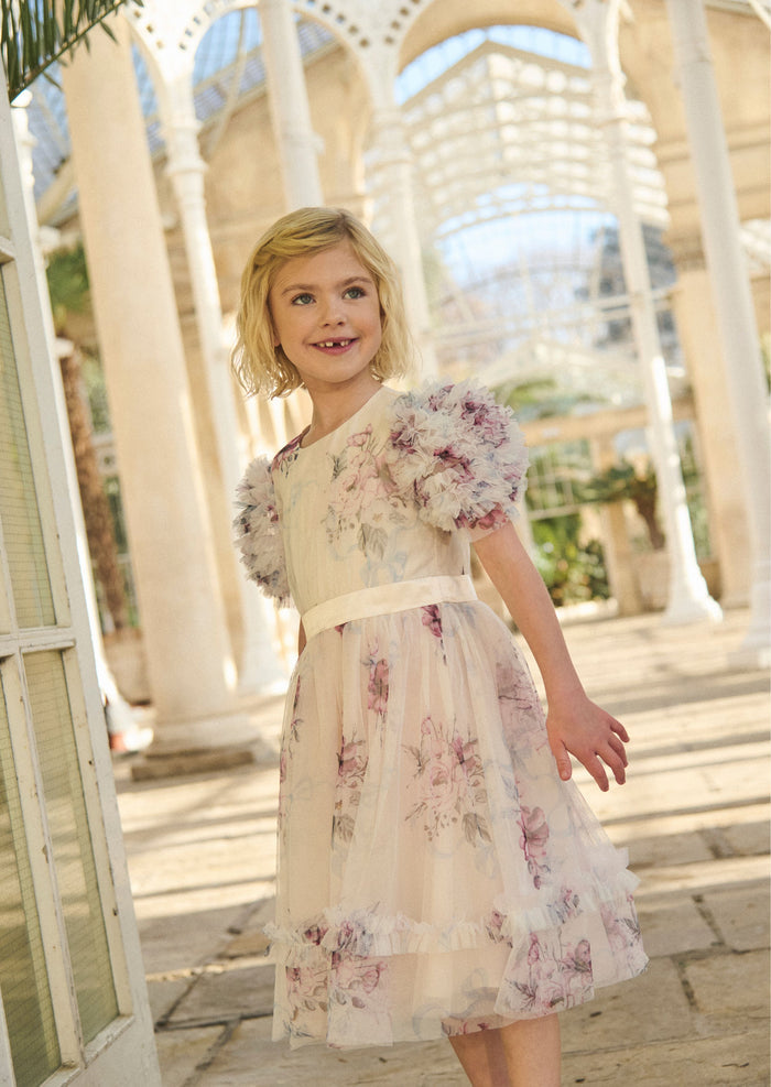 Florence Blush Ruffle Sleeve Mesh Dress