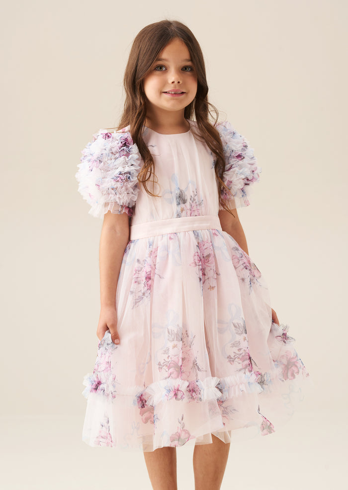 Florence Blush Ruffle Sleeve Mesh Dress
