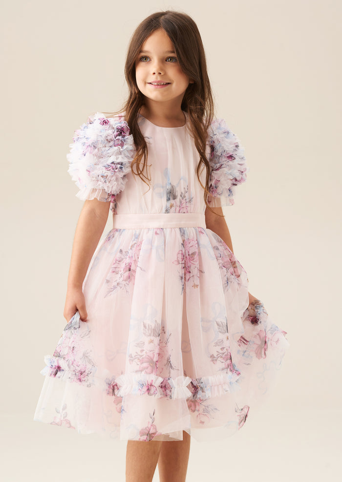 Florence Blush Ruffle Sleeve Mesh Dress