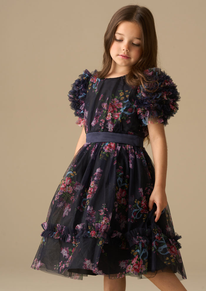 Florence Navy Ruffle Mesh Sleeve Dress