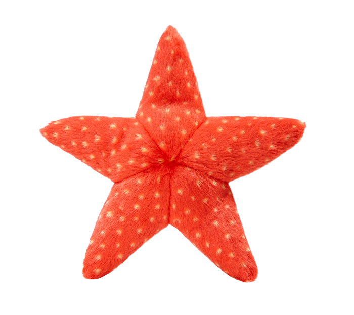 Fluff & Tuff Ziggy Starfish Toy
