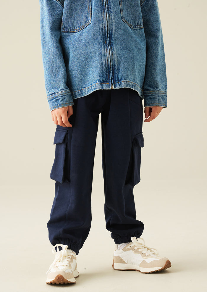 Frank Navy Panelled Jogger