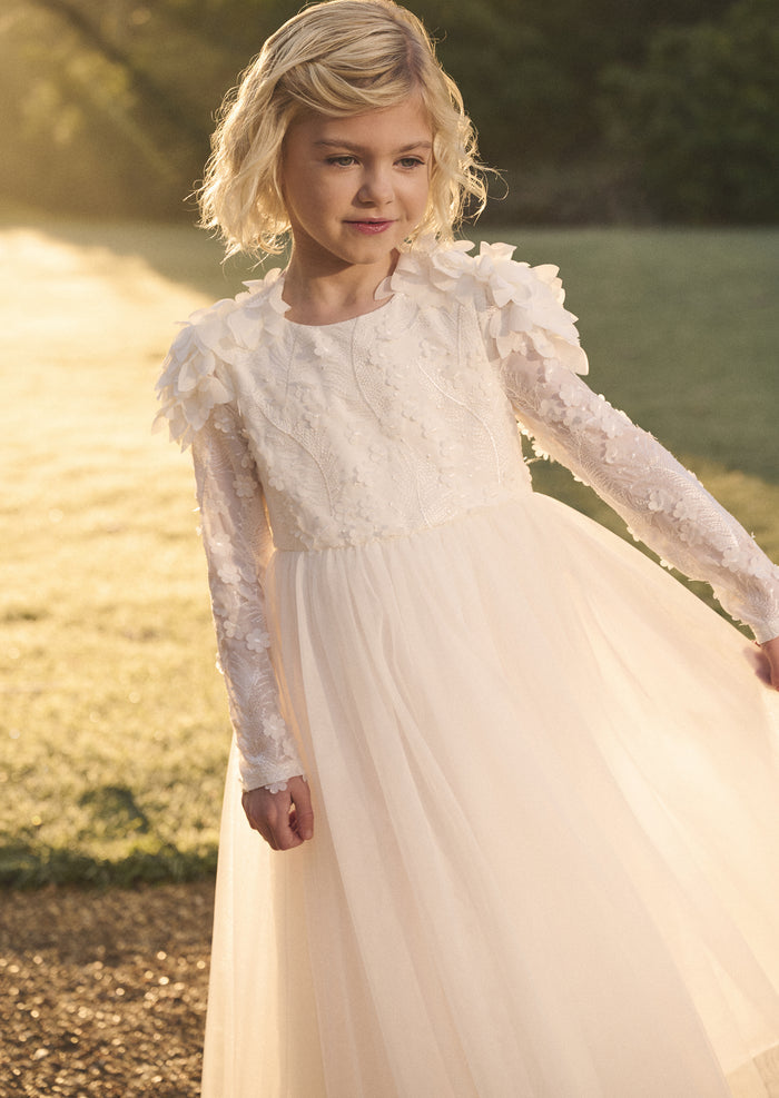 Gabrielle Embellished Mesh Dress