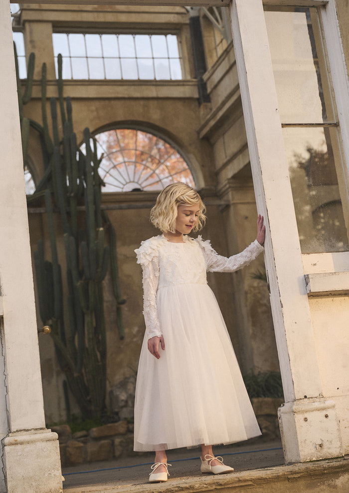 Gabrielle Embellished Mesh Dress