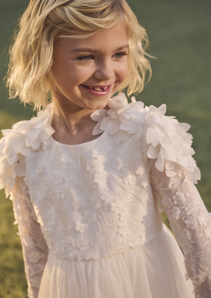 Gabrielle Embellished Mesh Dress
