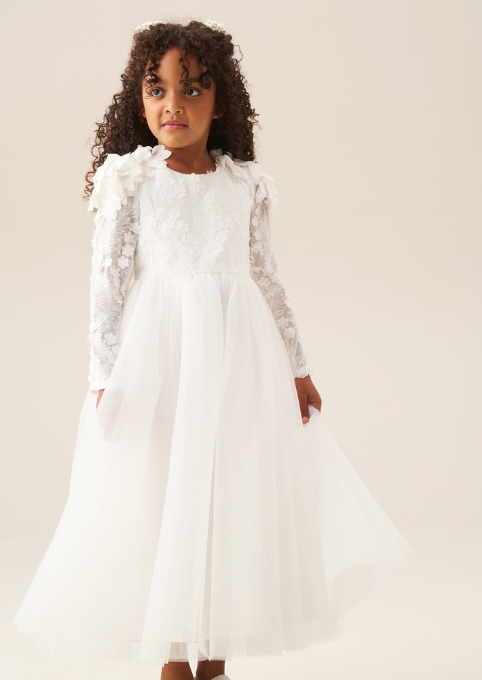 Gabrielle Embellished Mesh Dress