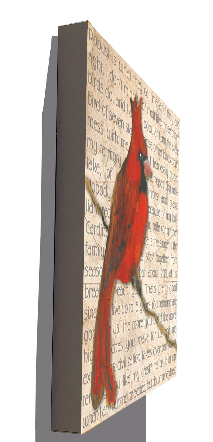 Gallery Grand - Birds Talk! Series - Cardinal