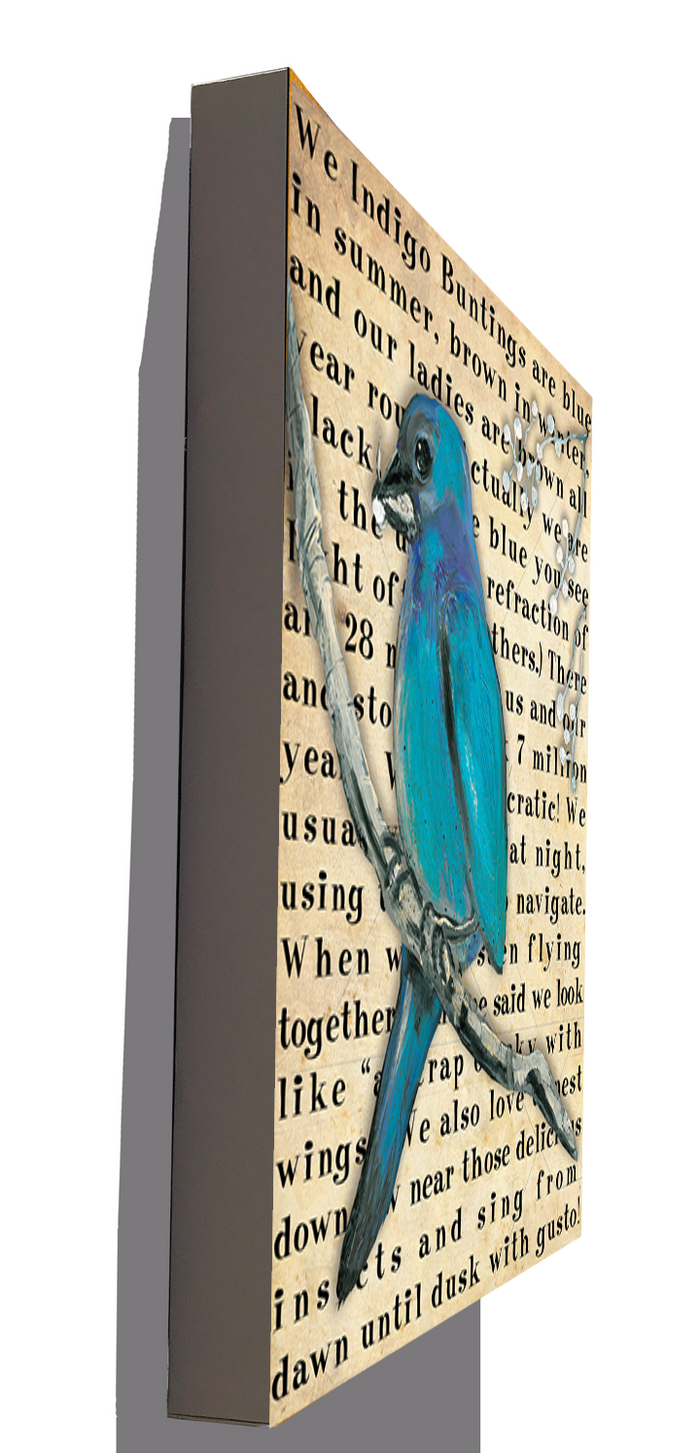 Gallery Grand - Birds Talk! Series - Indigo Bunting