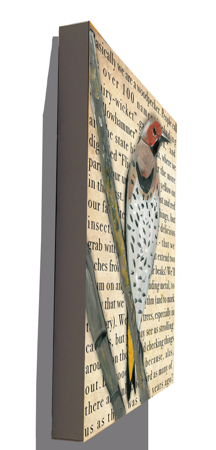 Gallery Grand - Birds Talk! Series - Northern Flicker