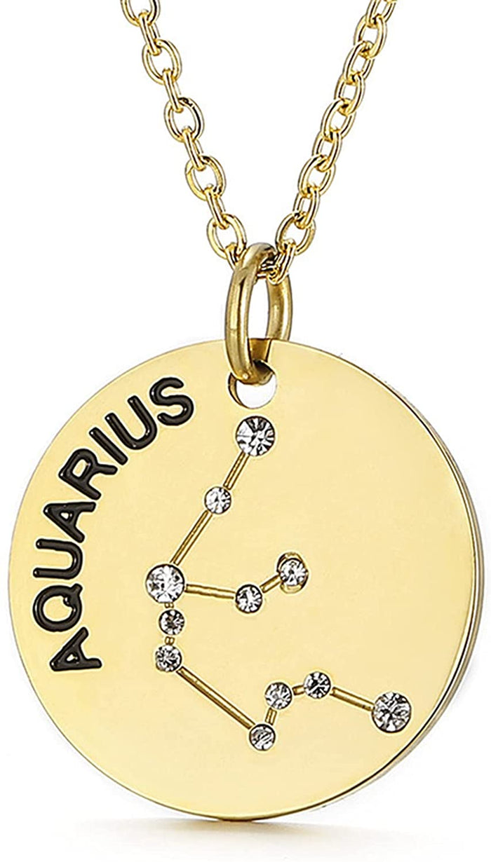 Aquarius (Jan 20-Feb 18)