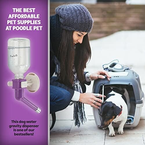 Gravity Hydration Fountain with Spigot Spout for Pets Dog Bowls & Feeders Pet Clever