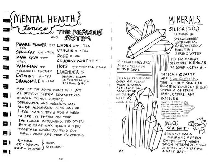 Healing Your Magical Body with Plants & Minerals (paperback)