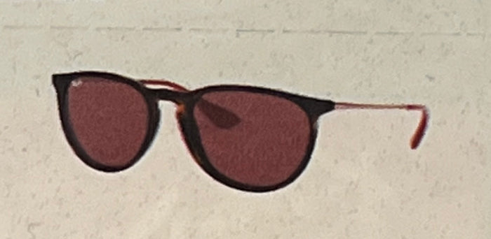 RAY *BAN ERIKA SUNGLASSES