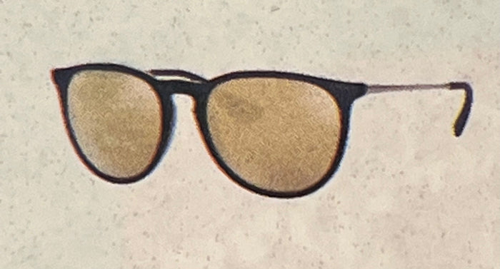 RAY *BAN ERIKA SUNGLASSES
