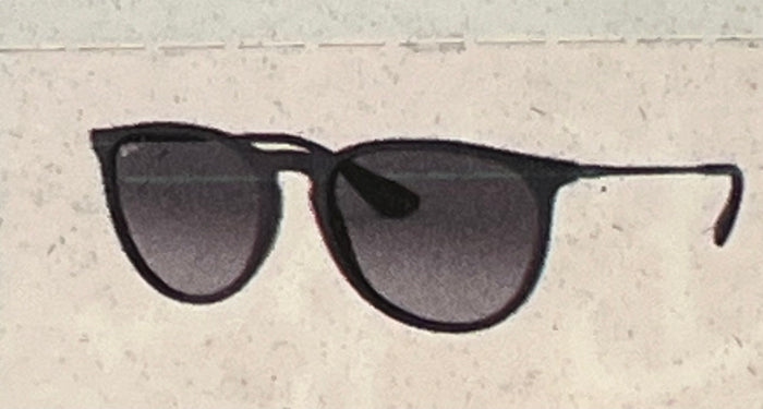 RAY *BAN ERIKA SUNGLASSES