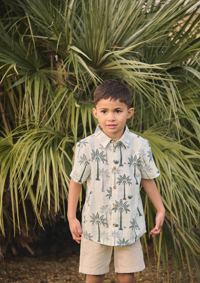 Jamie Palm Stripe Shirt