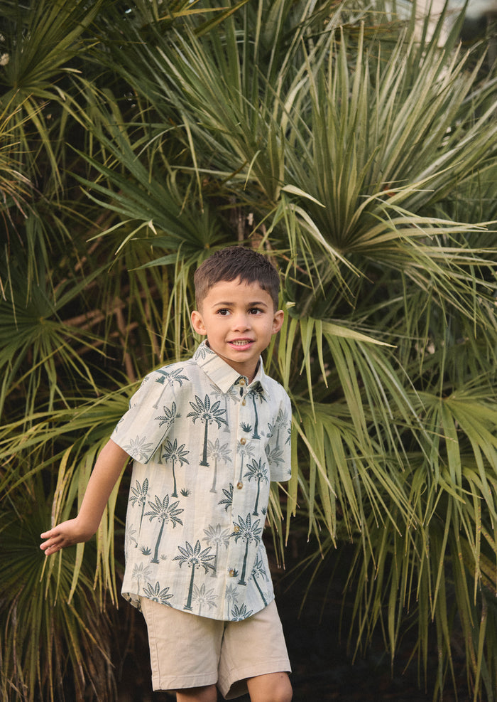 Jamie Palm Stripe Shirt