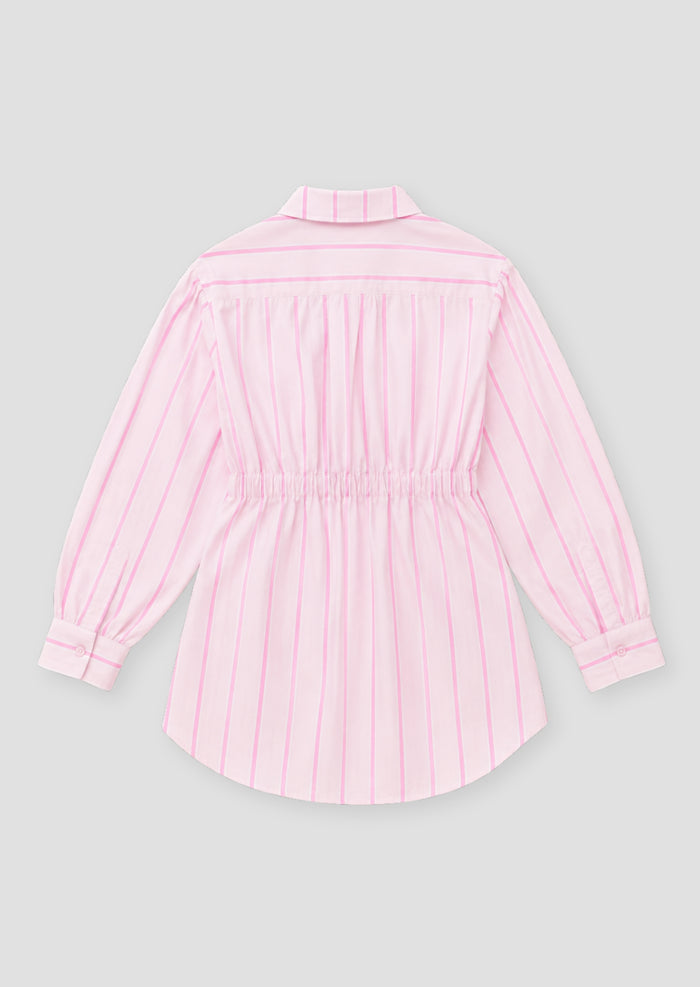 Kelsey Stripe Shirt Mini Dress