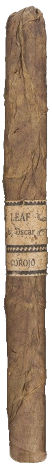 Leaf by Oscar Lancero Corojo