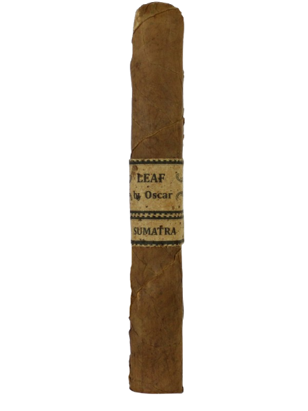 Leaf by Oscar Toro Sumatra
