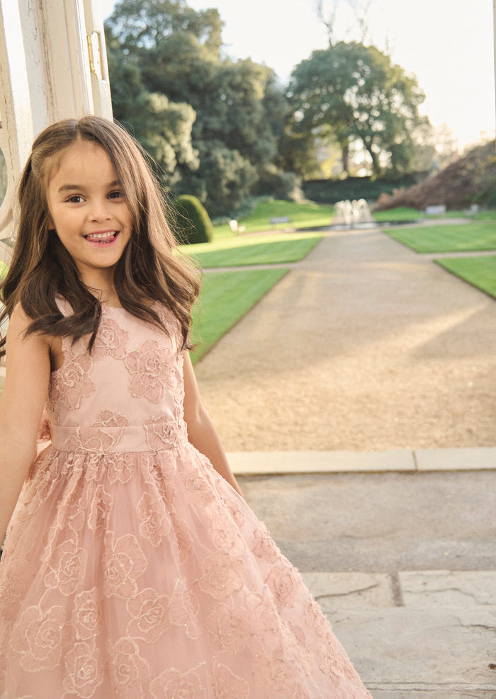 Louise Blush Embellished Bow Back Dress