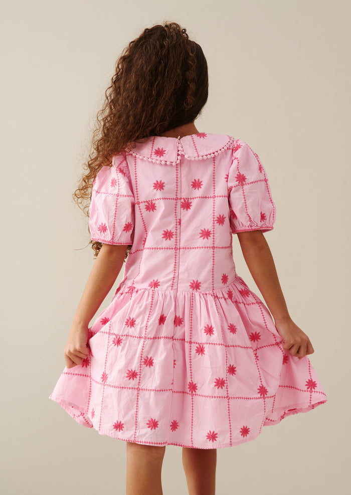 Louise Embroidered Dress