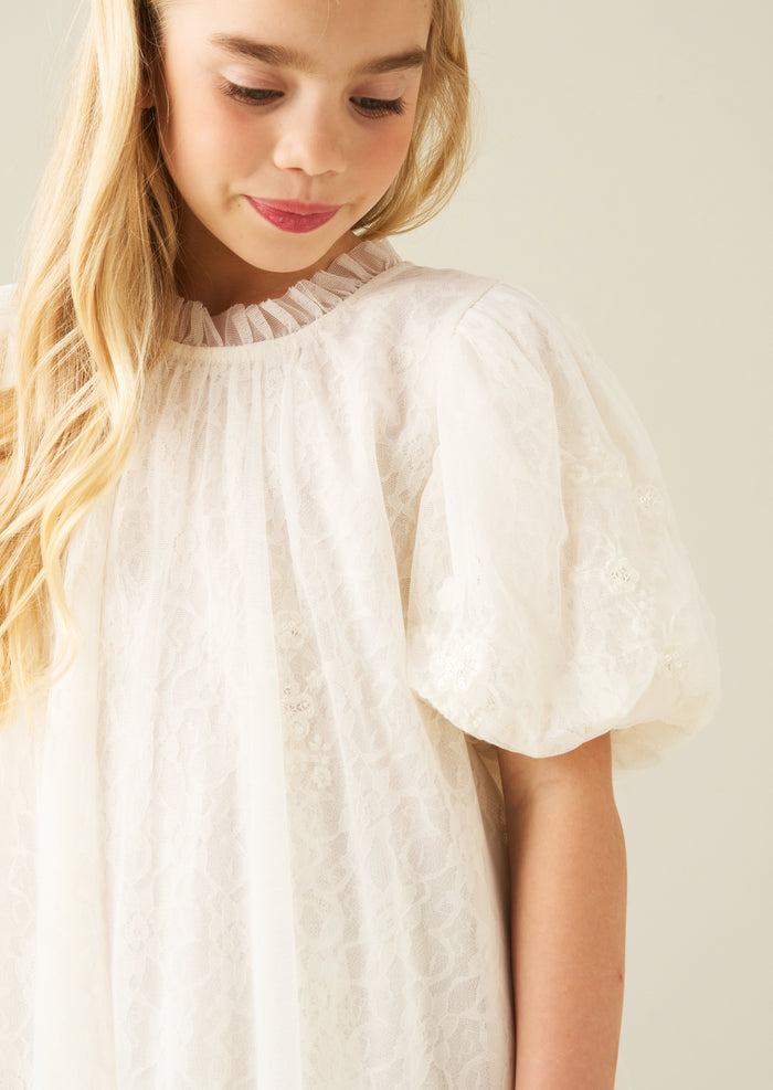 Marcella Embroidered Mesh Dress