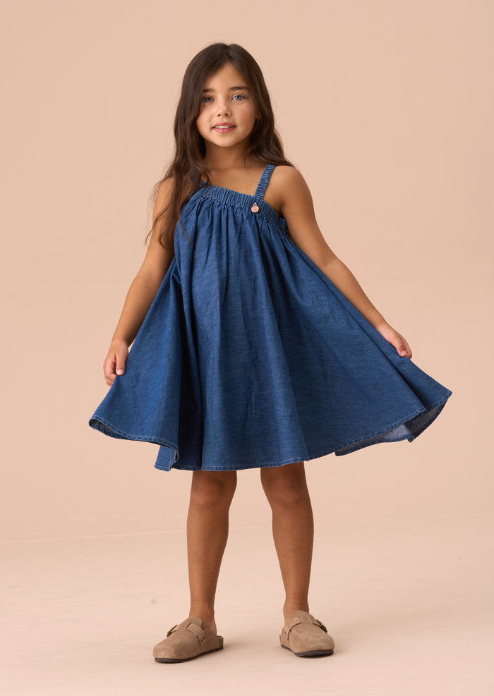 Marnie Denim Corsage Swing Dress