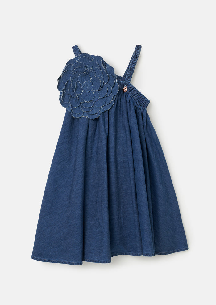 Marnie Denim Corsage Swing Dress