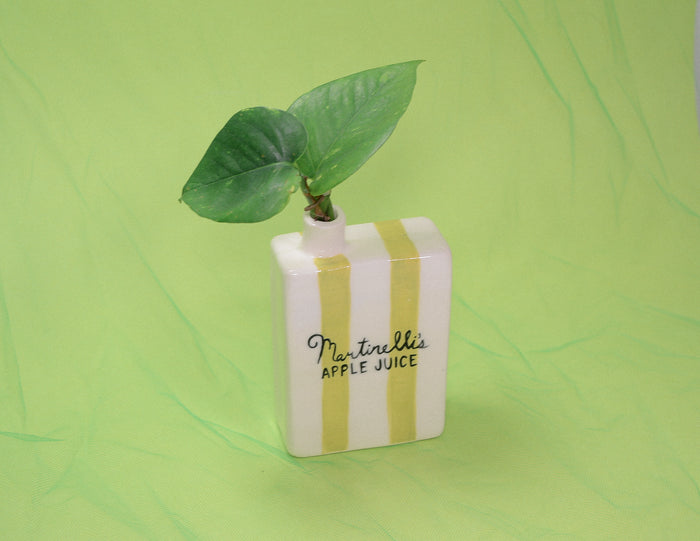 Martinelli Juice Box Vase