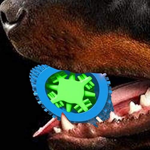 Natural Rubber Bite Resistant Dog Toothbrush Toy Toothbrush Pet Clever