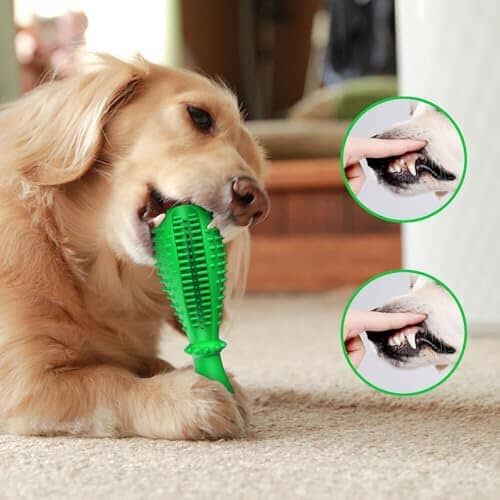 Natural Rubber Tough Hard Dog Interactive Toys Toothbrush for Training and Dental Care Toothbrush Pet Clever