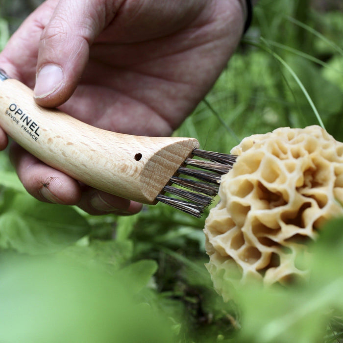 No. 08 Stainless Steel Mushroom Knife w/ Brush