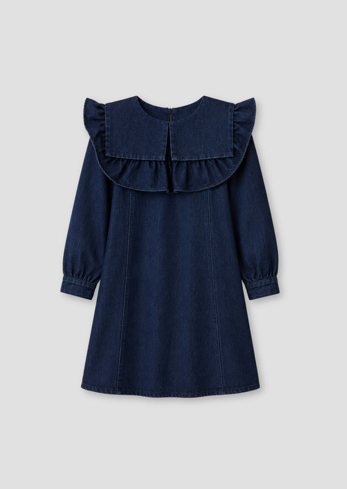 Paige Denim Collar Dress