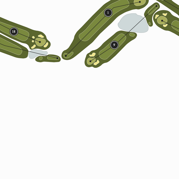 Palm Desert Greens Country Club | Heritage Style Golf Course Print | Close Up