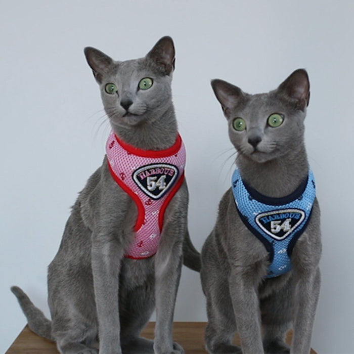 Pet Clever Adventure Harness Leash - US Stock - Prime Shipping Pet Clever Adventure Harness Suit Leash Pet Clever Blue Small