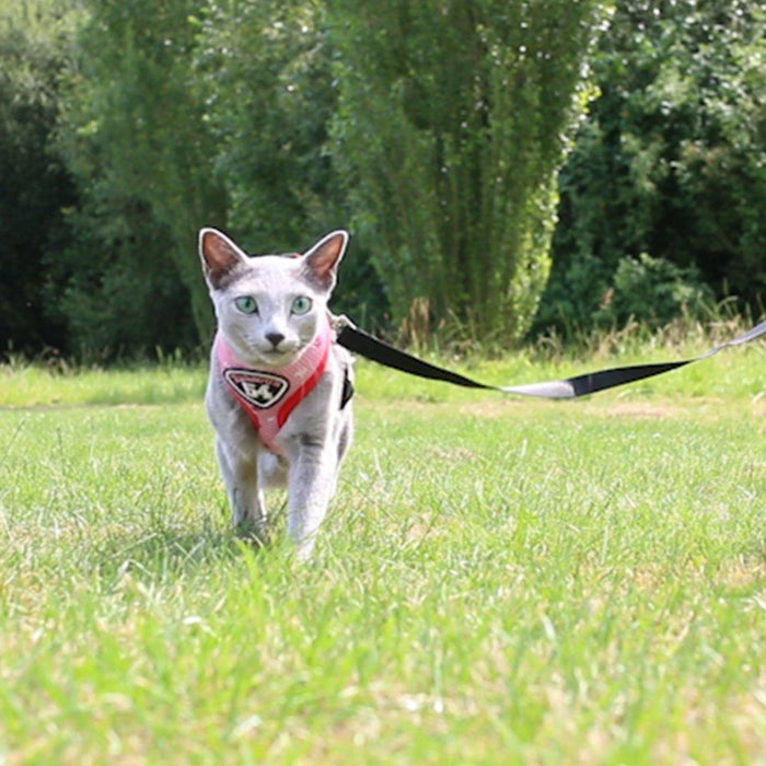 Pet Clever Adventure Harness Leash - US Stock - Prime Shipping Pet Clever Adventure Harness Suit Leash Pet Clever