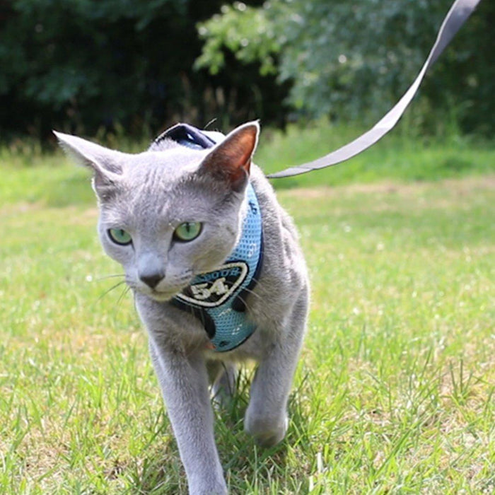Pet Clever Adventure Harness Leash - US Stock - Prime Shipping Pet Clever Adventure Harness Suit Leash Pet Clever