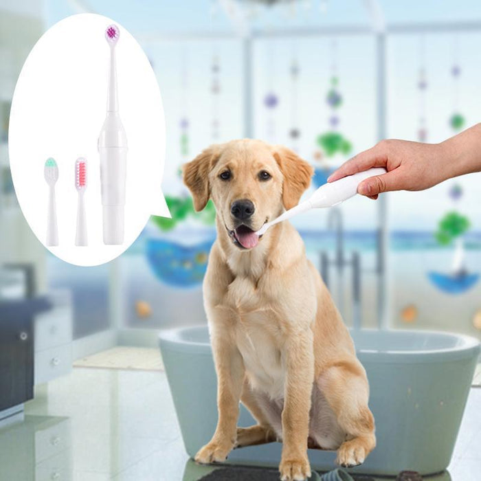 Electric Pet Toothbrush with Additional Brush Heads Toothbrush Pet Clever