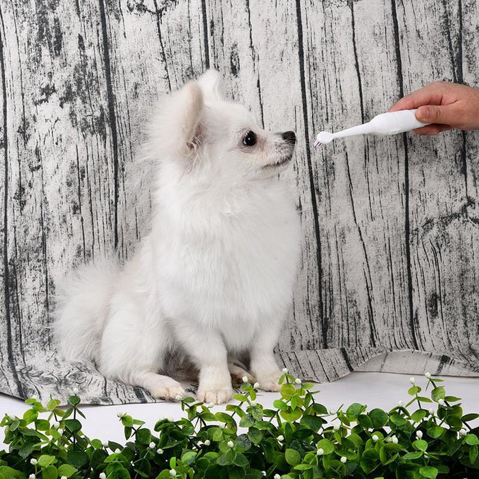 Electric Pet Toothbrush with Additional Brush Heads Toothbrush Pet Clever