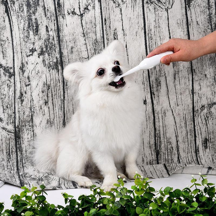 Electric Pet Toothbrush with Additional Brush Heads Toothbrush Pet Clever