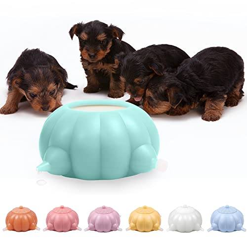 Puppy Feeder with Nipples Dog Bowls & Feeders Pet Clever Green
