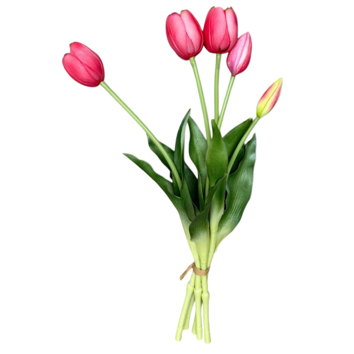 Bouquet of pink tulips with green leaves on a white background