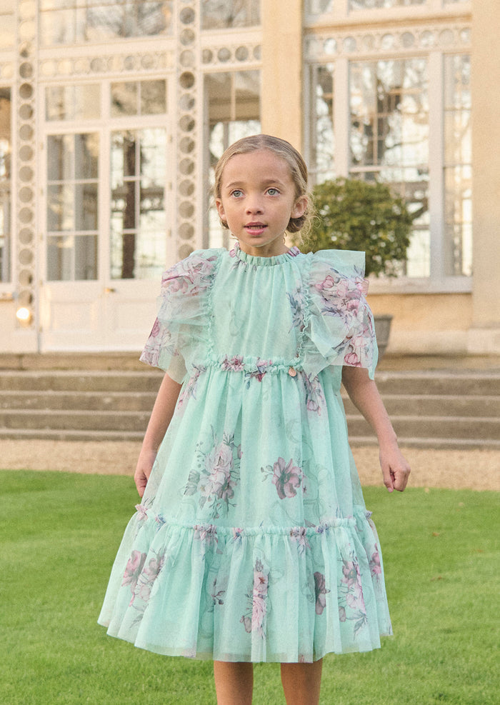 Rosa Mint Floral Mesh Dress
